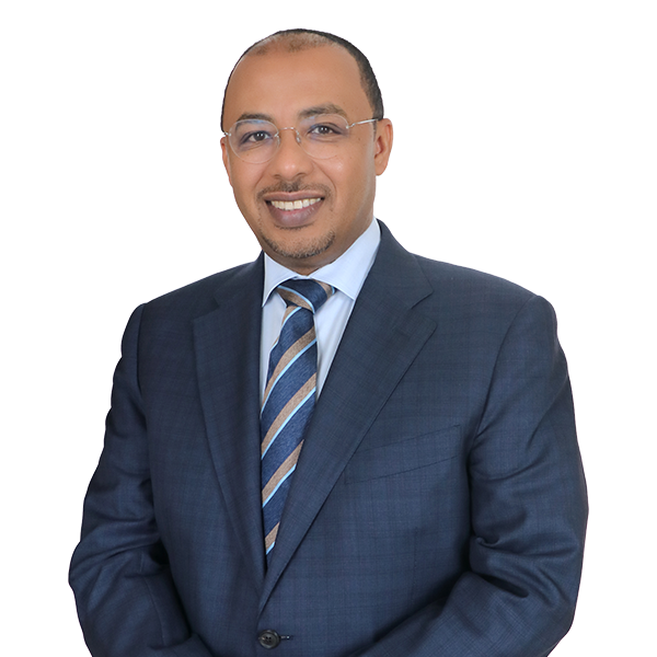 Dr Allaeldin Elbadawi