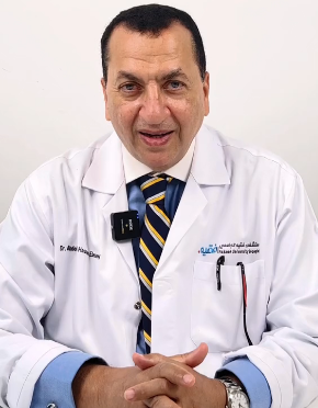 Dr. Abdelbasset Elessawy