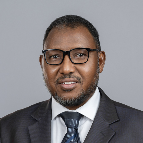 Dr. Ahmed Abdelrahim