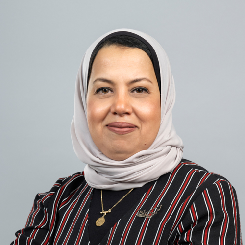 Dr. Dina Mohamed Mohamed Hamza
