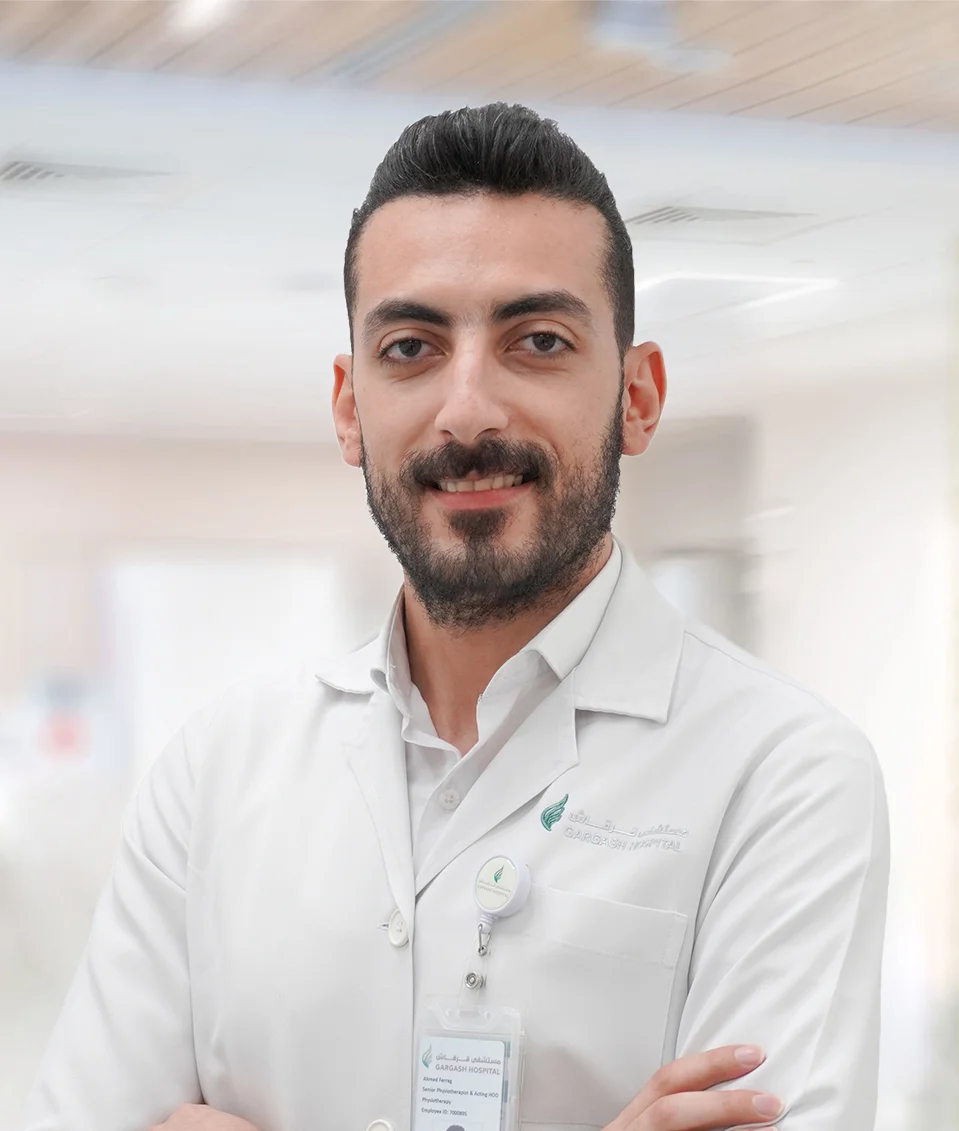 Mr. Ahmed Farrag